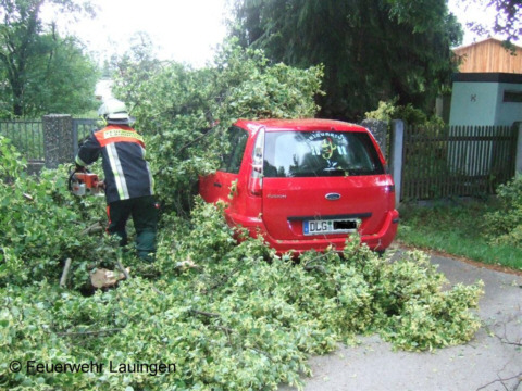 Freischneiden des Fahrzeuges