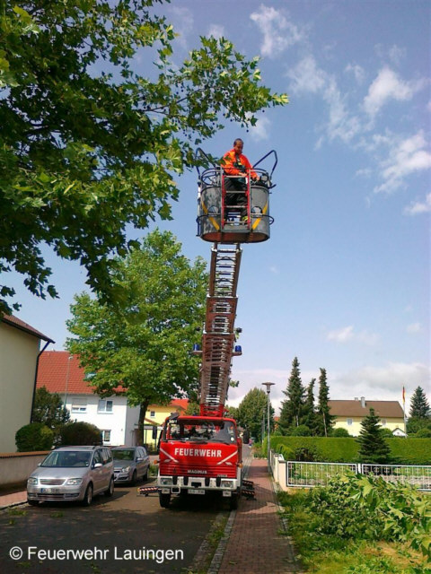 Entfernung abgebrochener Äste mit der Drehleiter