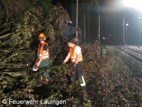 Freischneiden der Bahnstrecke